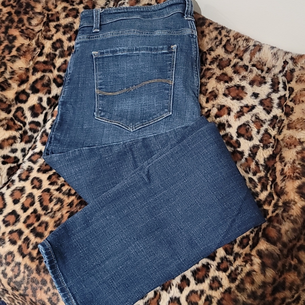 Lee Jeans Midrise Dream Skinny Leg sz 16